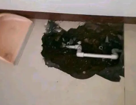 丛台卫生间测漏水多少钱